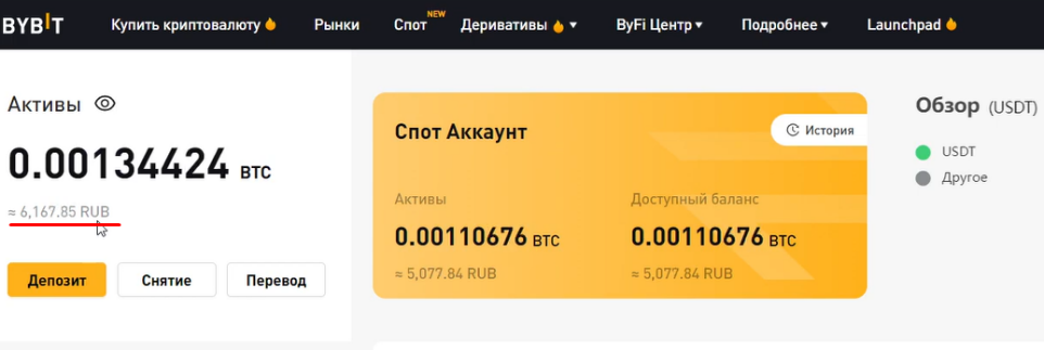 Как сделать отображение баланса в рублях на бирже ByBit