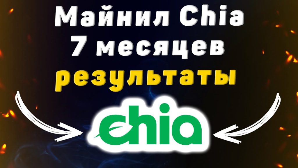 Результаты после 7 месяцев майнинга CHIA на Hpool